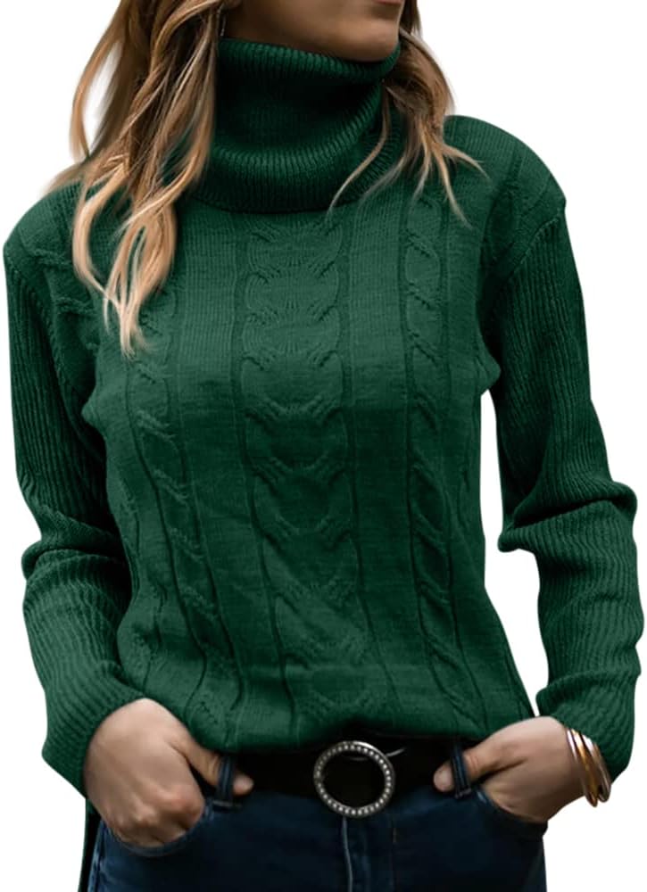Slim Fit Ribbed Knit Turtleneck Top
